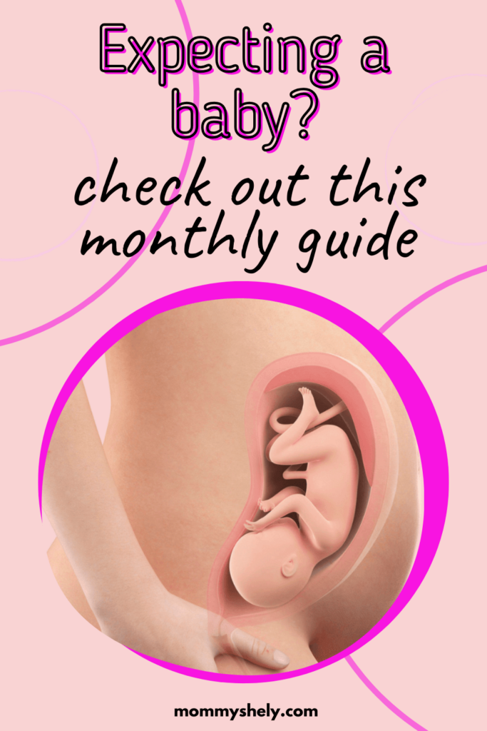 Track Your Pregnancy: A Monthly Guide