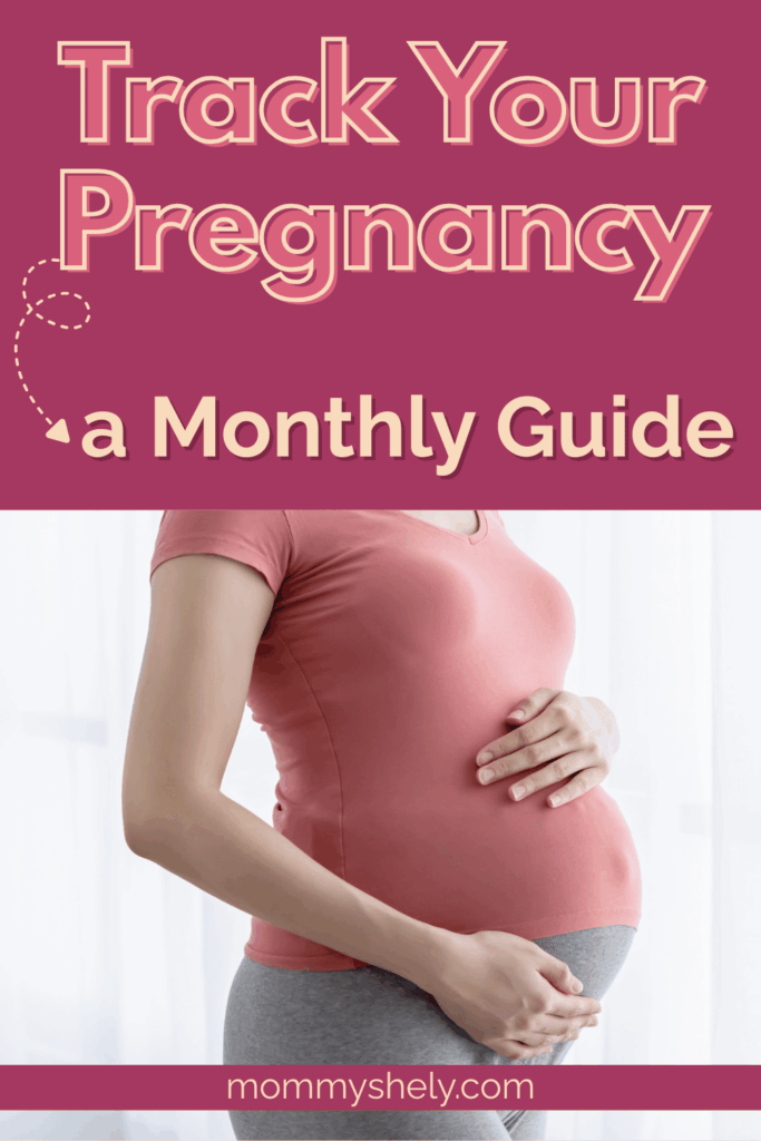 Track Your Pregnancy