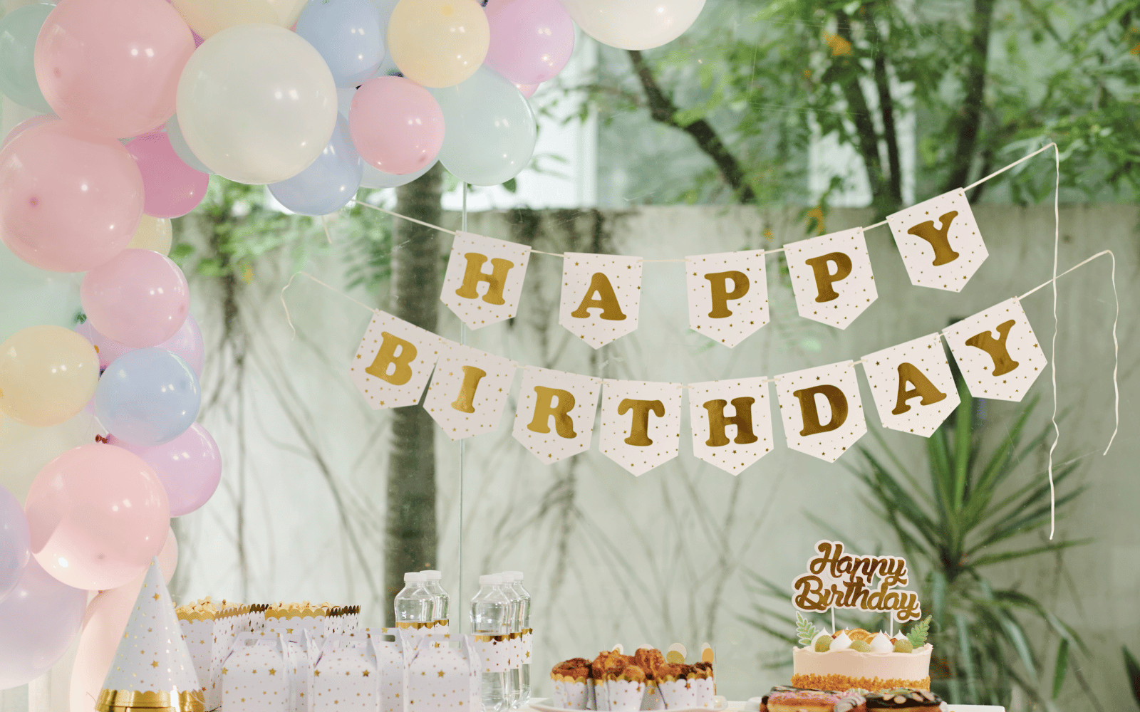 Baby Birthday Party Planner
