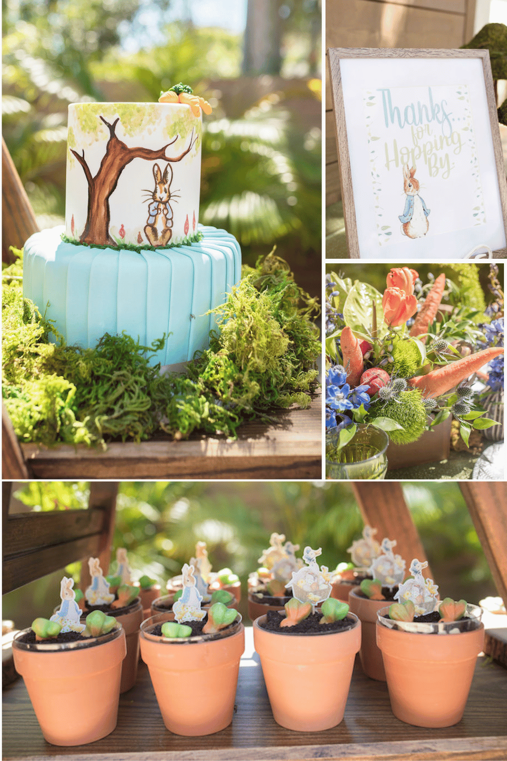 Peter Rabbit Baby Shower theme idea