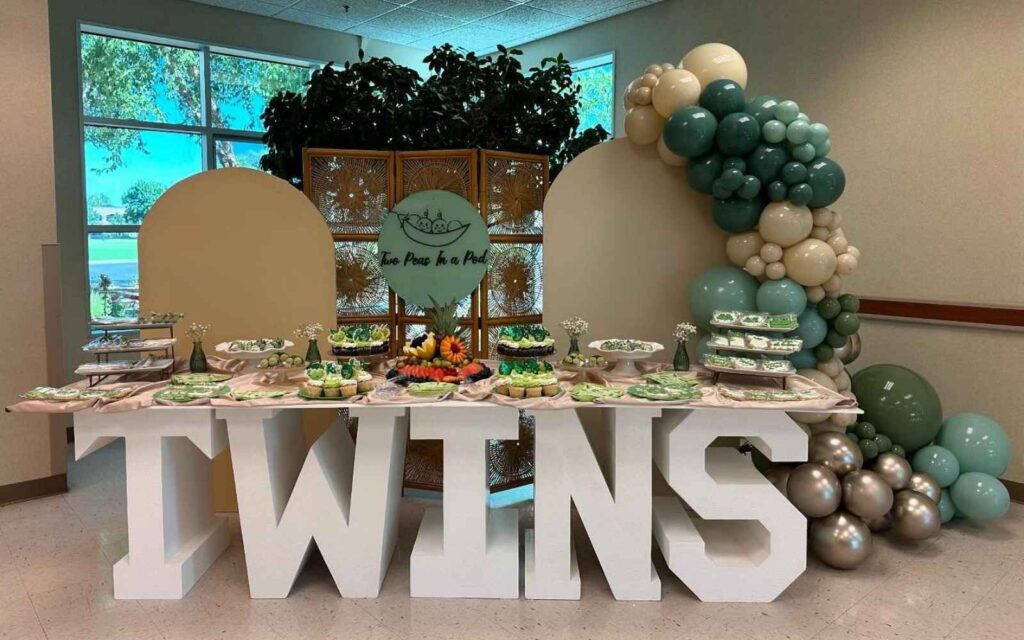 Baby shower for twins