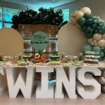 Baby shower for twins